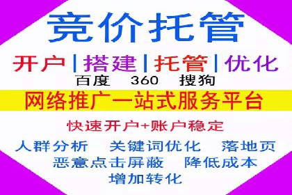 SEM代运营服务公司成功案例解析